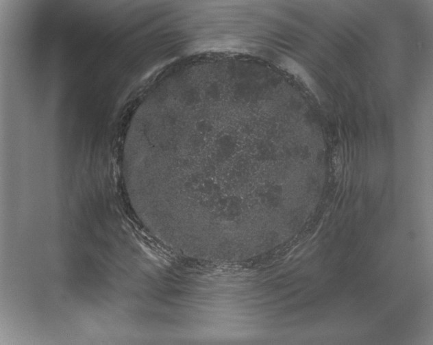 X0000071781064200607071424