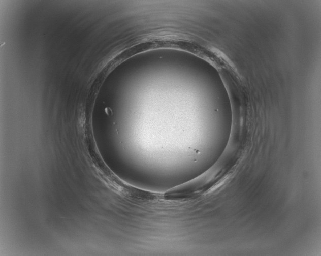 X0000071781065200607071424