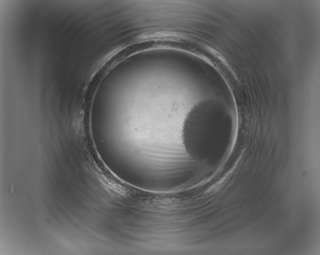 X0000071781066200607071424