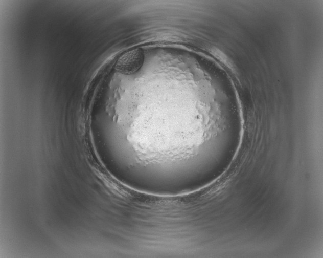 X0000071781067200607071424