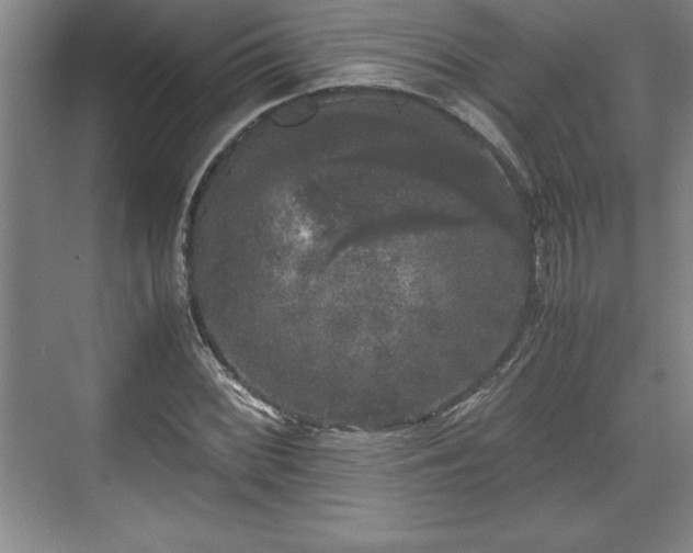 X0000071781068200607071424