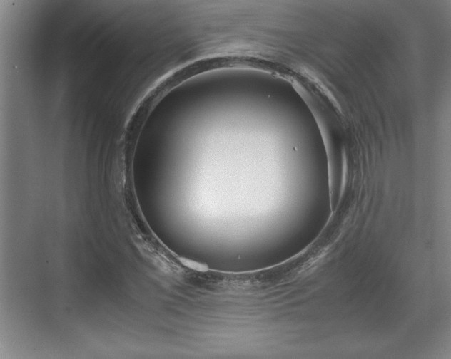 X0000071781069200607071424