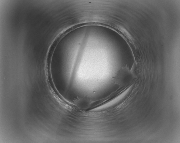 X0000071781072200607071424