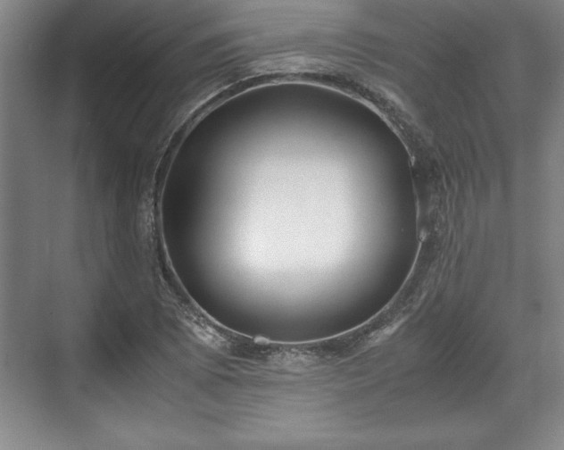 X0000071781073200607071424