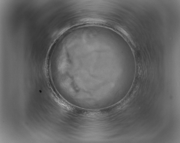 X0000071781074200607071424