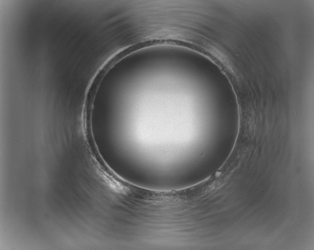 X0000071781076200607071424