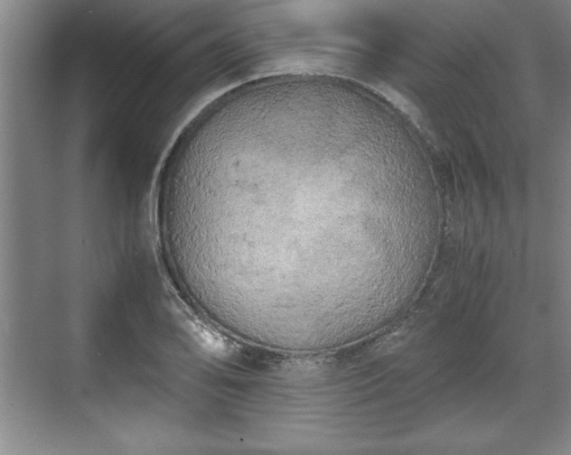 X0000071781078200607071424