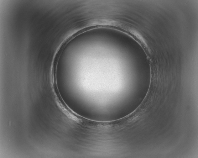 X0000071781080200607071424