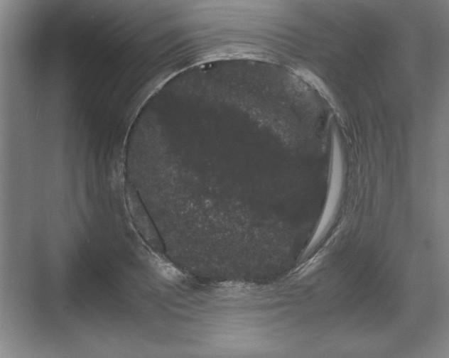 X0000071781081200607071424