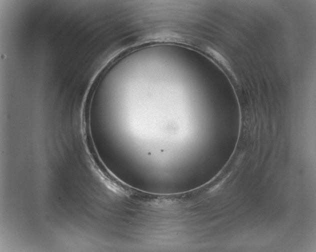 X0000071781082200607071424