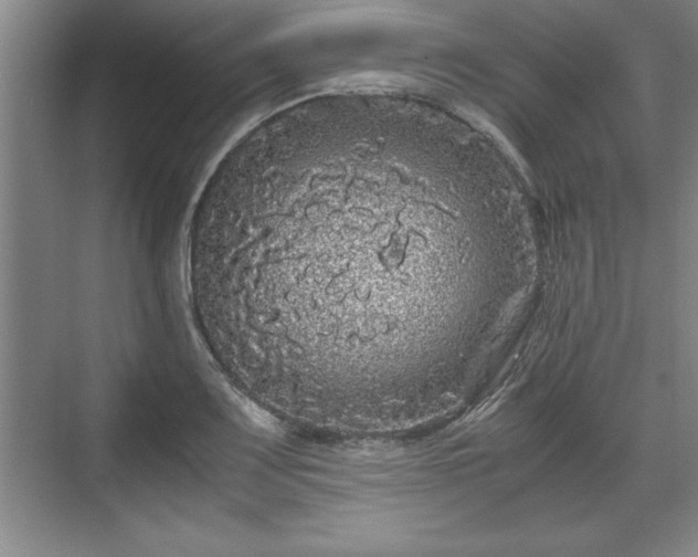 X0000071781083200607071423