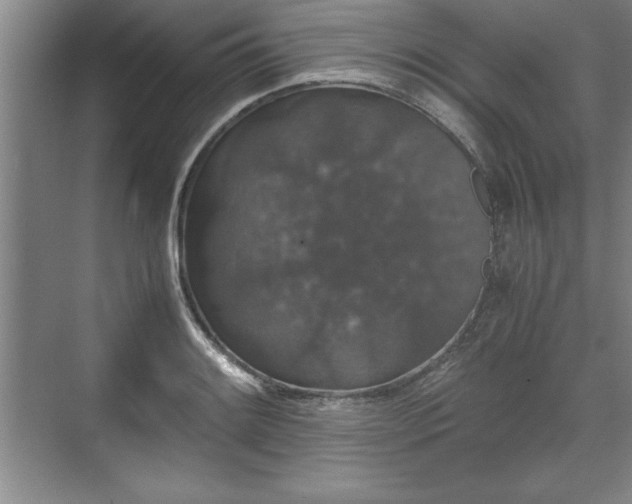 X0000071781084200607071423