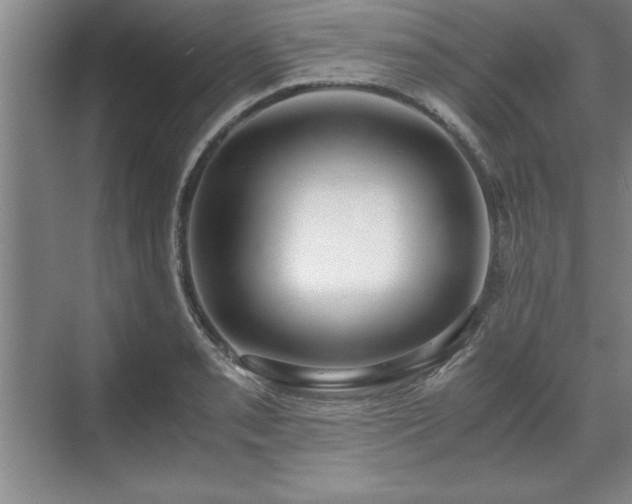 X0000071781085200607071423