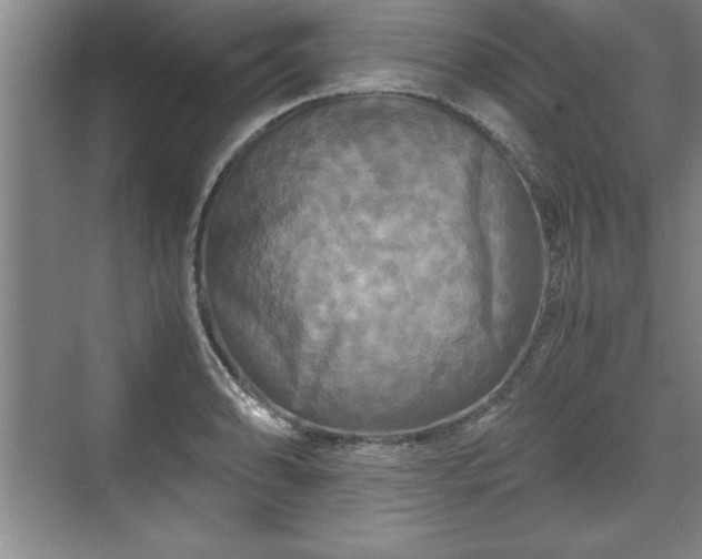 X0000071781086200607071423