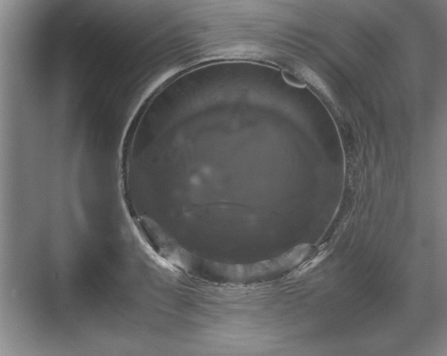 X0000071781087200607071423