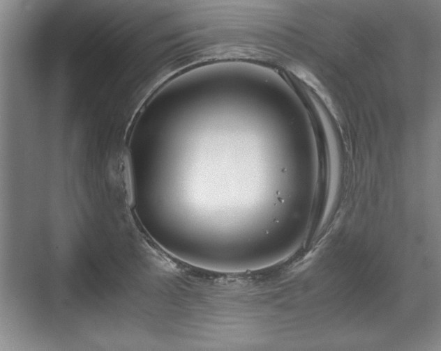 X0000071781089200607071423