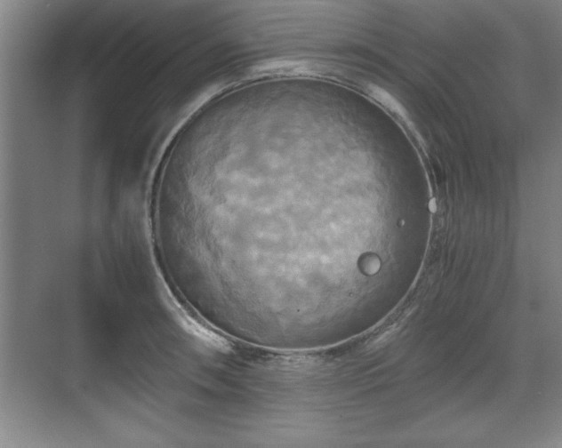 X0000071781090200607071423