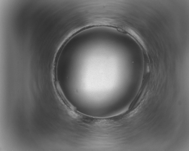 X0000071781093200607071423