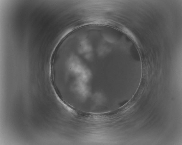 X0000071781095200607071423