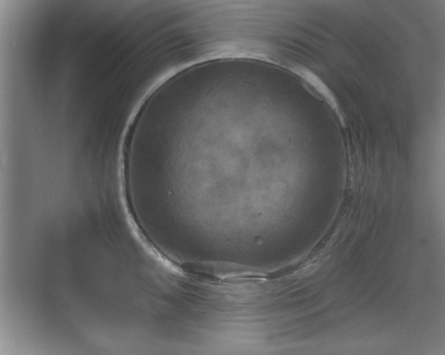 X0000071781096200607071423