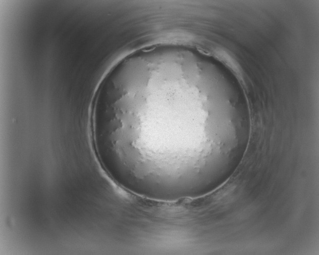 X0000071781103200607071423