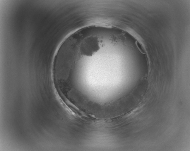 X0000071781104200607071423