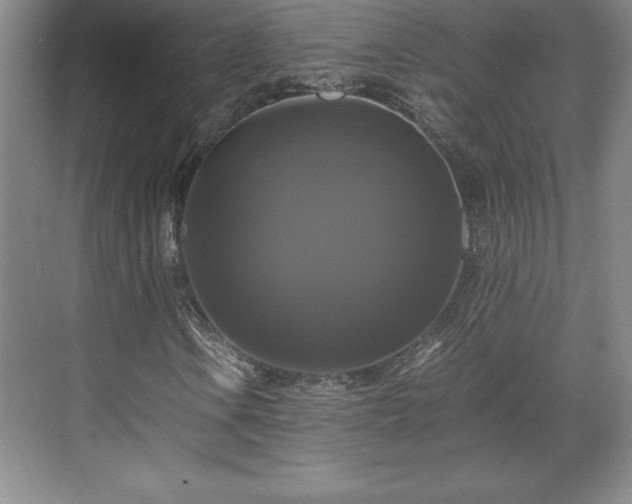 X0000071781106200607071422