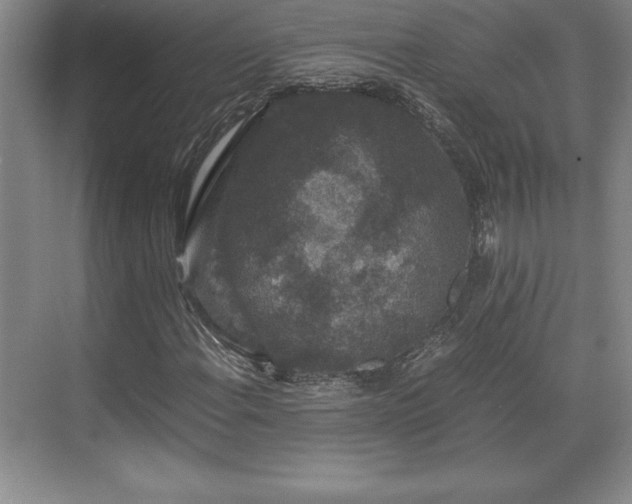 X0000071781108200607071422