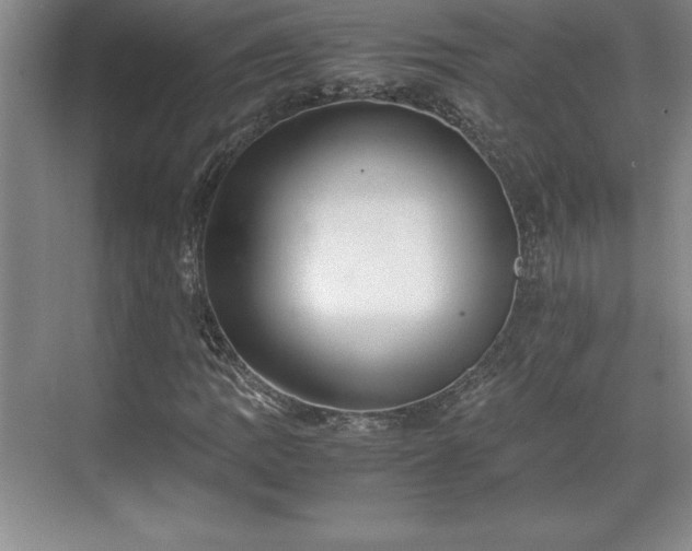 X0000071781109200607071422