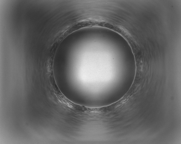 X0000071781110200607071422