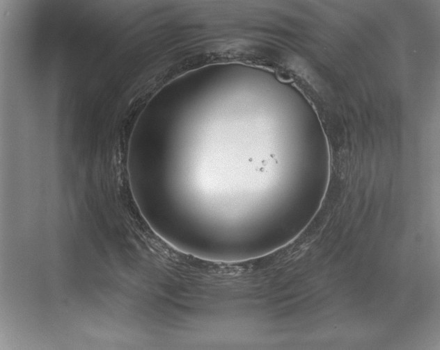 X0000071781111200607071422