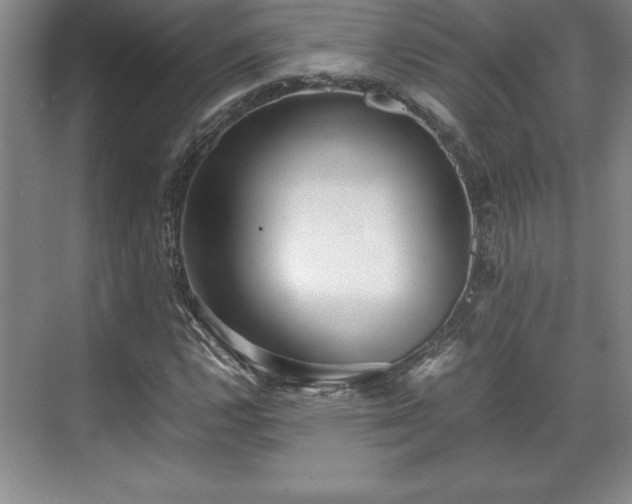 X0000071781112200607071422