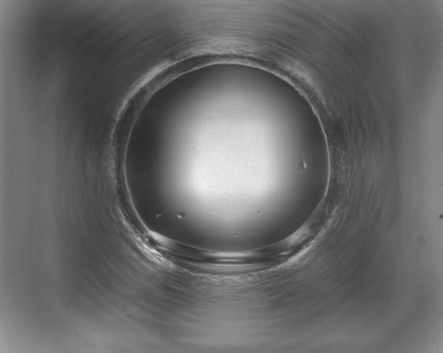 X0000071781114200607071422