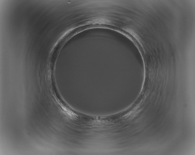 X0000071781115200607071422