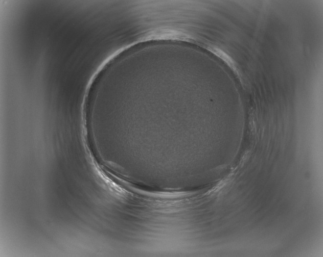 X0000071781120200607071423