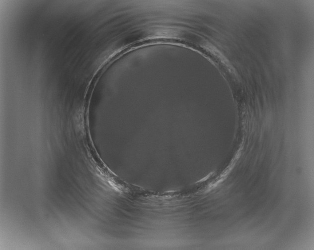 X0000071781121200607071423