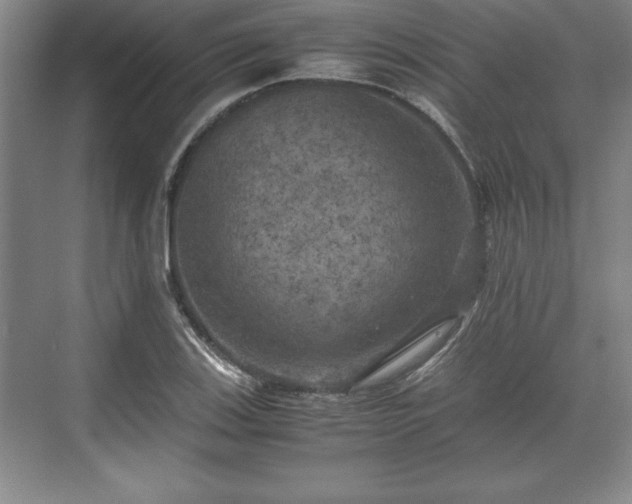 X0000071781123200607071423