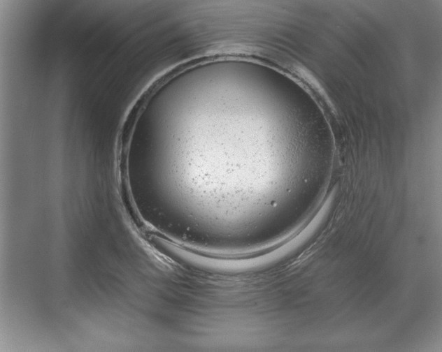 X0000071781124200607071423