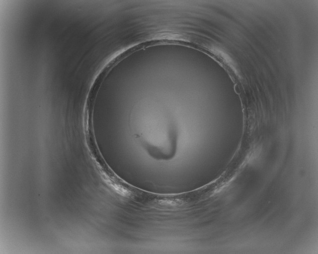 X0000071781125200607071423