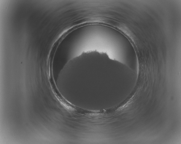 X0000071781127200607071423