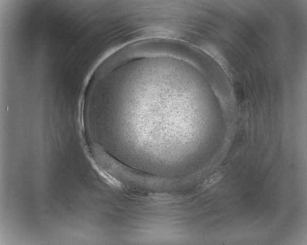 X0000071781128200607071423