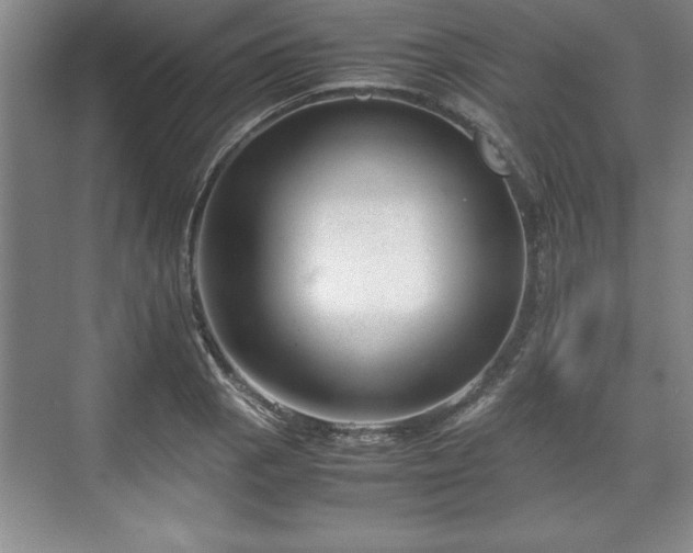 X0000071781129200607071423