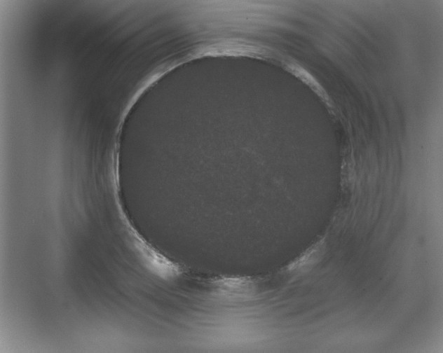 X0000071781130200607071423