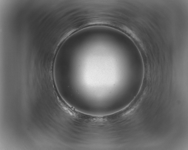 X0000071781137200607071423