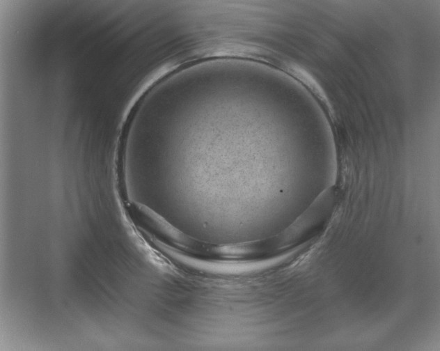 X0000071781138200607071423