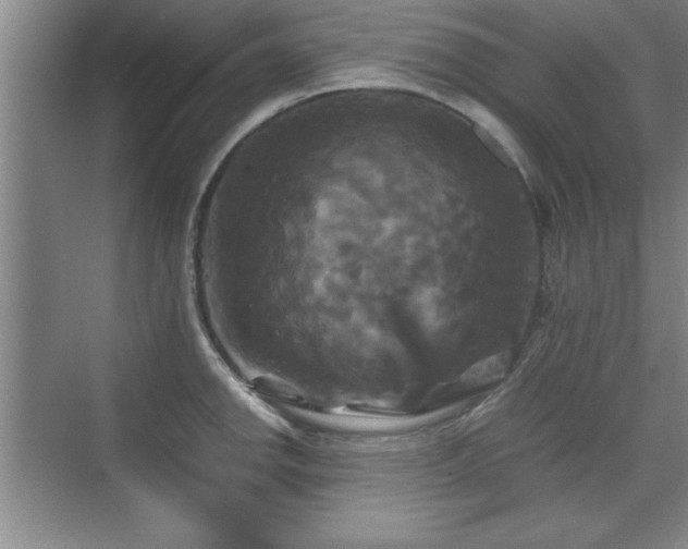 X0000071781142200607071423