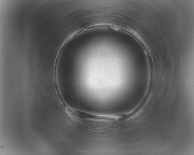 X0000071781145200607071423