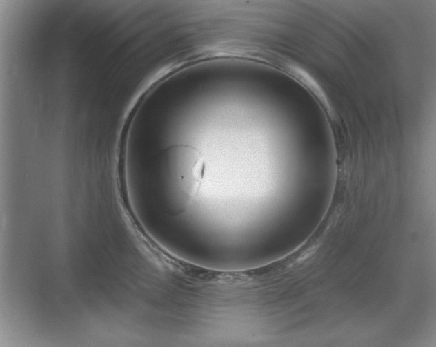 X0000071781146200607071423