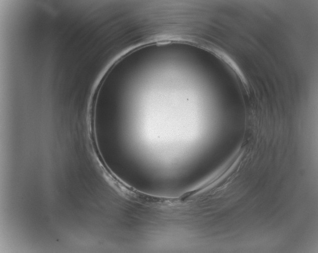 X0000071781148200607071423