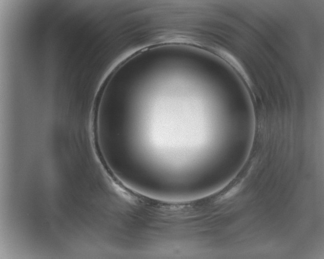 X0000071781149200607071423